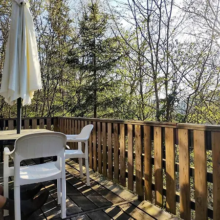Chalet Boshuisje Nolan