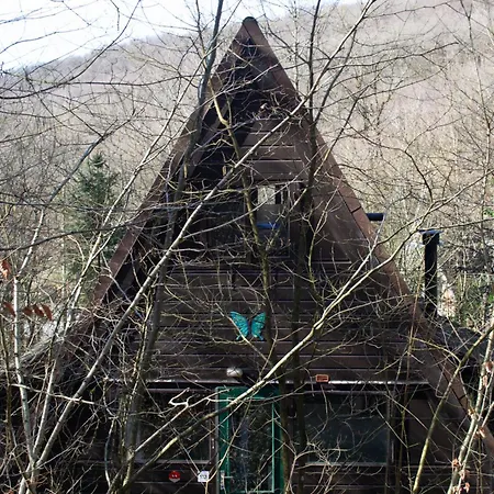 Boshuisje Nolan